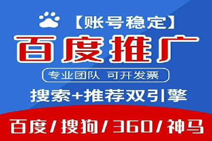 某电商平台的SEM策略与效果展示